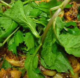 미나리 효능 부작용 고르는법 칼로리