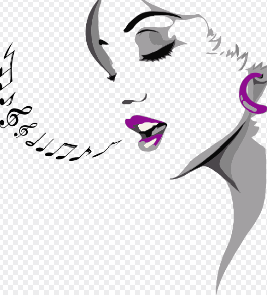 한국VS미국 라이선스 뮤지컬 공연문화, 관객특성, 수익구조