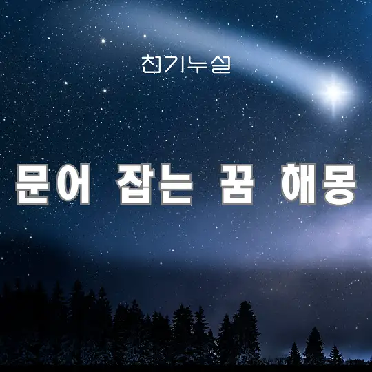 문어 잡는 꿈