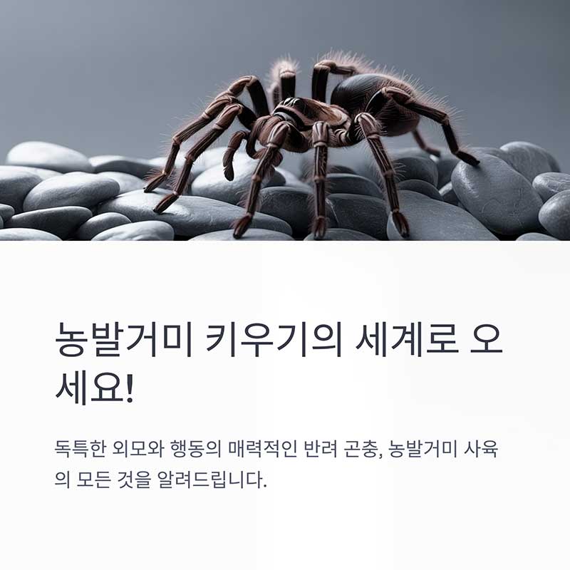 사육을 시작하기 전에 고려해야 할 점