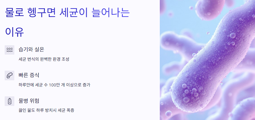 물로 헹구면 세균이 늘어나는 이유