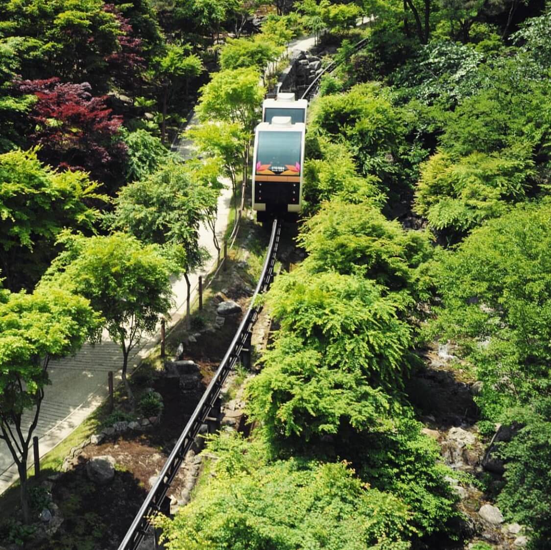 화담숲 모노레일