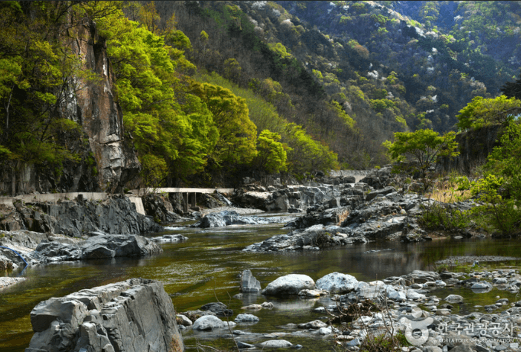 영덕군 옥계계곡