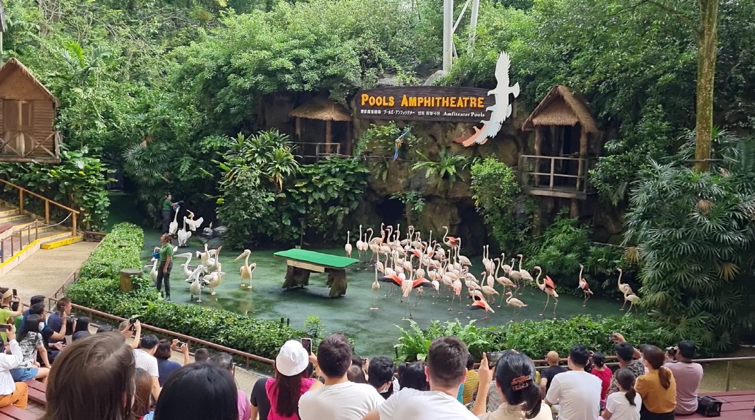 주롱 새 공원 Jurong Bird Park