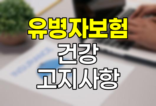 유병자 보험 3개월 건강 고지사항 핵심 분석