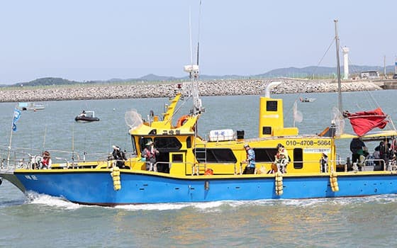 [5월~6월 축제]2025 화성 뱃놀이 축제❘기간, 일정, 프로그램 및 공연 사전 예약 방법