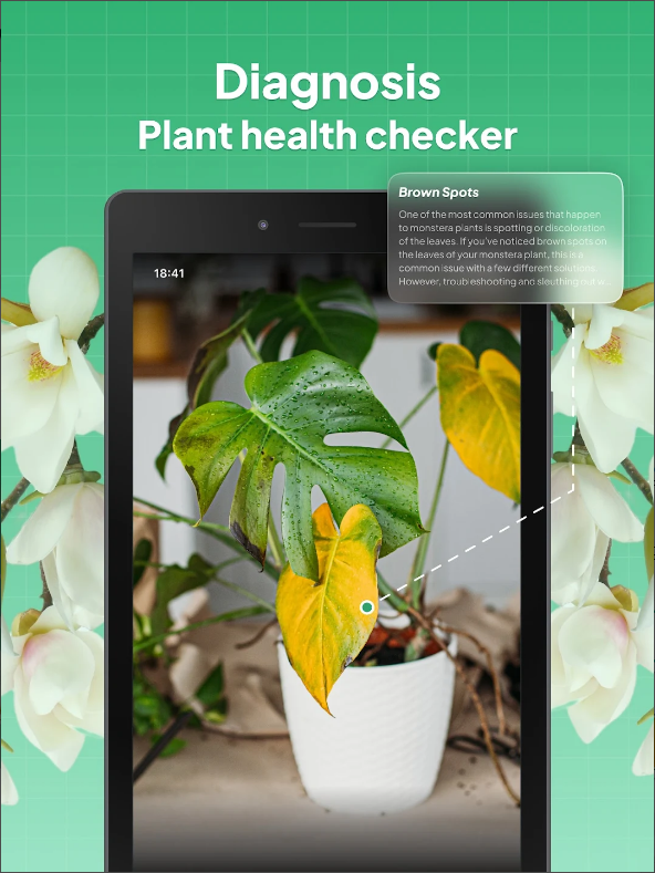 꽃 이름 찾기 어플, 사진으로 꽃, 나무, 과일, 식물을 식별하기, Leafsnap