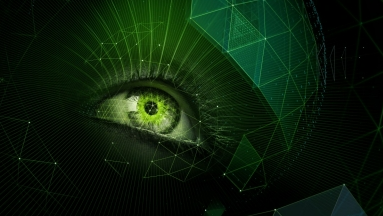 엔비디아 그래픽 카드