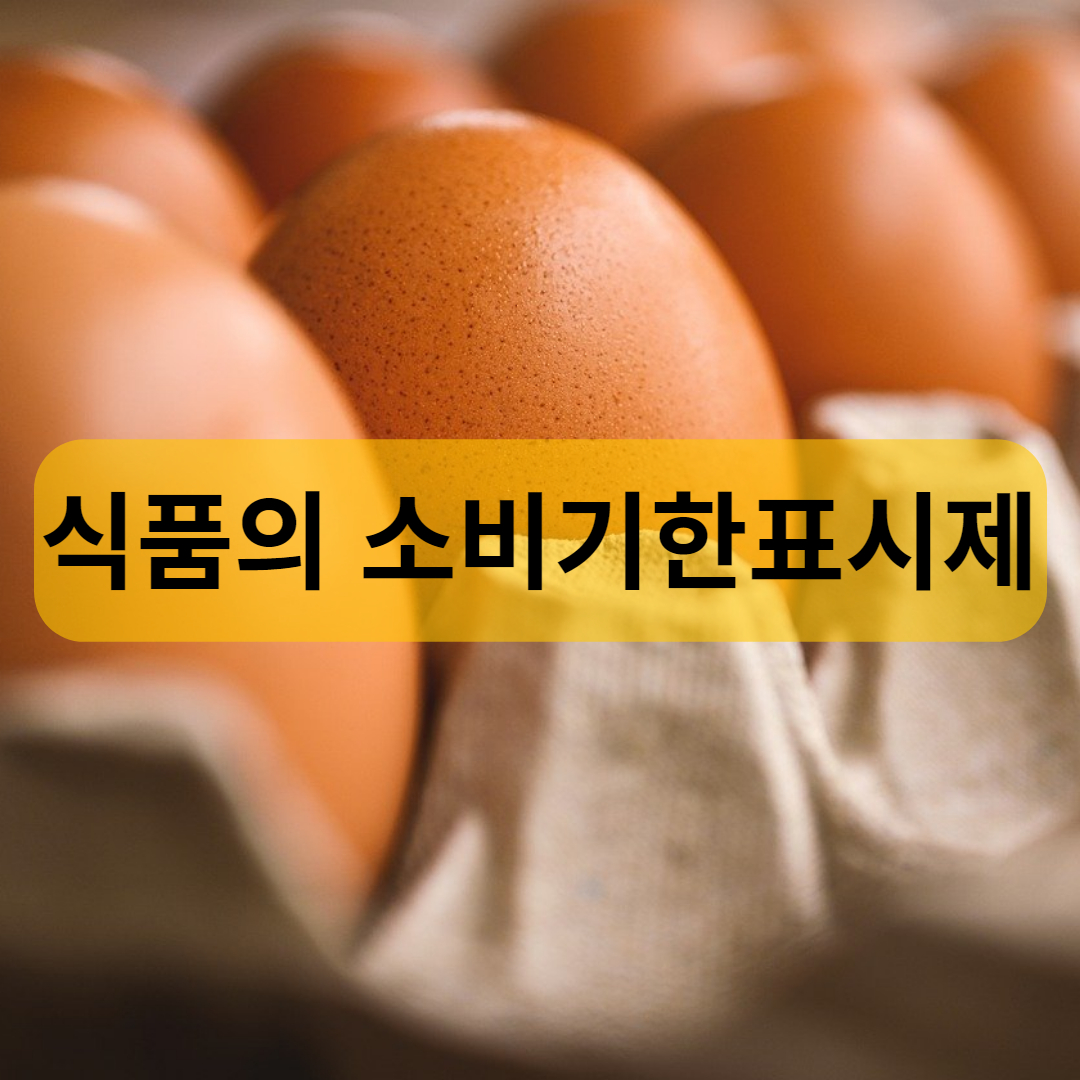 소비기한표시제