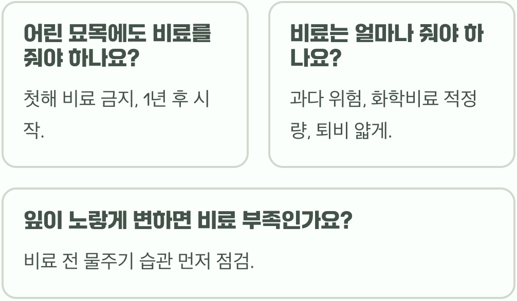 주렁주렁 열매를 위한 들쭉나무 비료 주는 시기와 최고의 비료 추천