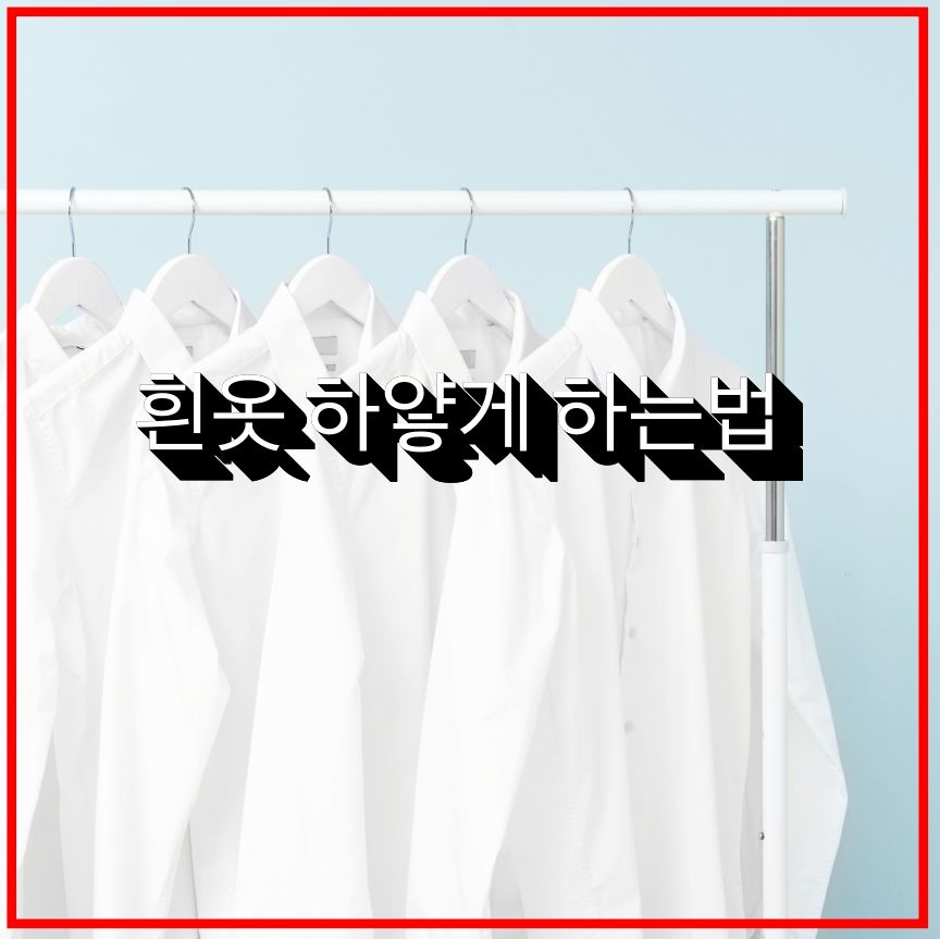 흰옷 하얗게 하는법 (관리하는법)