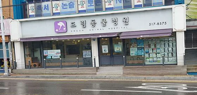 드림동물병원