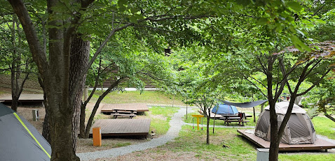 대관령-자연휴양림