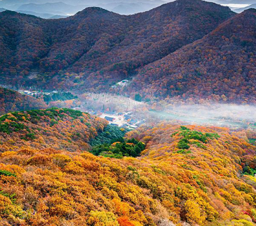 국내-단풍-명소