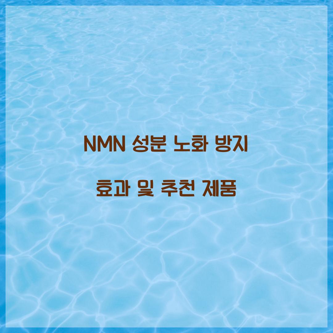 NMN 성분 노화 방지
