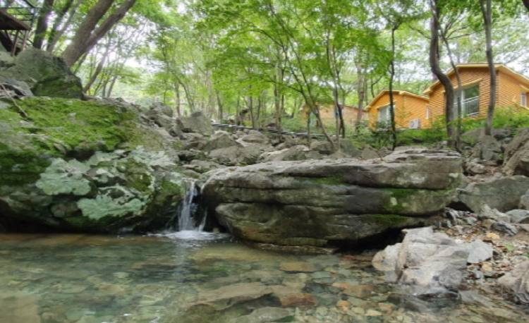 거제 자연휴양림