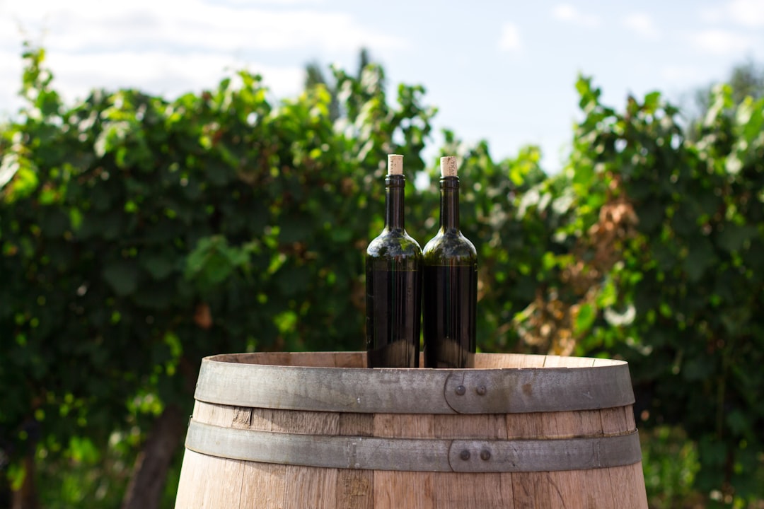 Winery