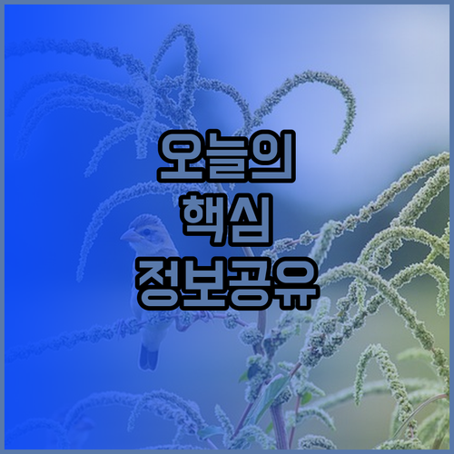 미니세탁기 추천 5가지 모델 비교분석