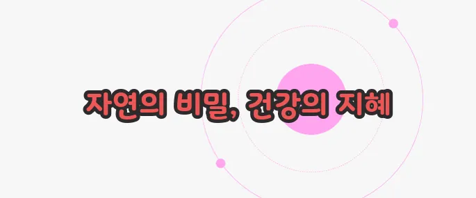 가시오가피 효능 한번 정확하게 알아보도록 하죠