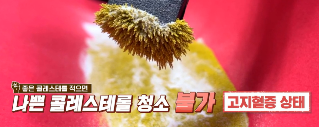 발효 홍국 효능