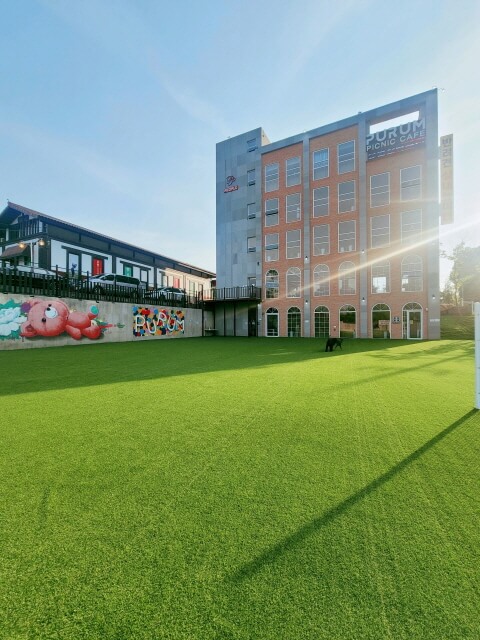 용인 반려견 카페 추천 BEST 3 : 실외 운동장·브런치 가능한 애견동반 명소 정리