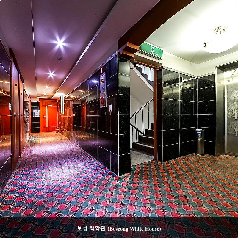 보성 백악관 (Boseong White House)_1