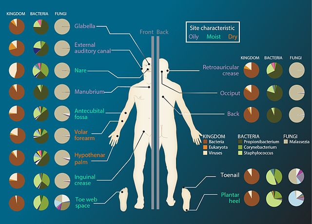 microbiome