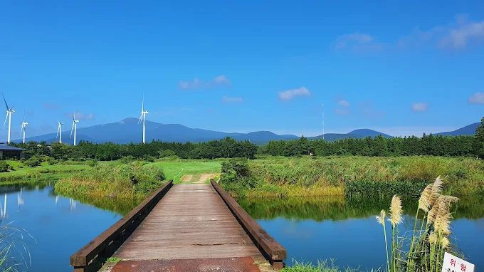 제주 '더클래식 CC' 소개 및 이용방법