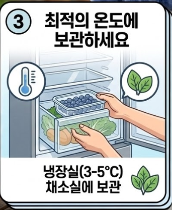 블루베리 세척법