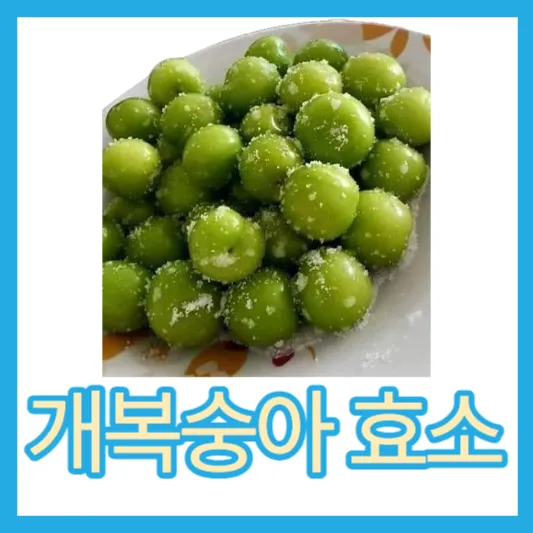 개복숭아 효소 효능