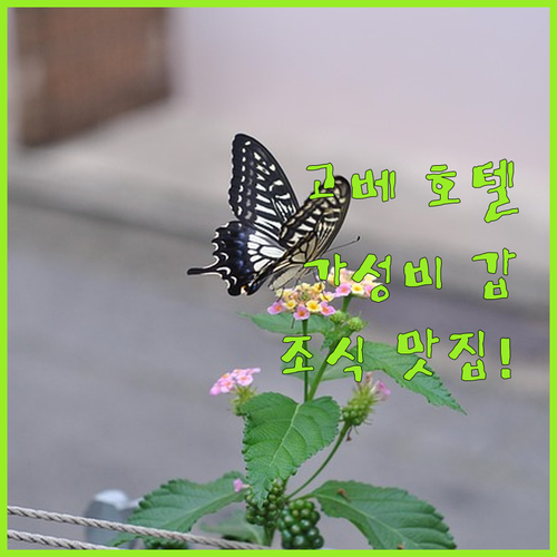 직접 다녀온 고베 호텔 베스트 5 위..