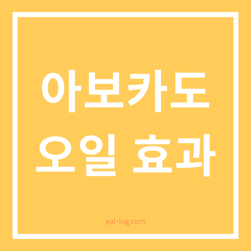 아보카도 오일의 보습 효과 알아보기