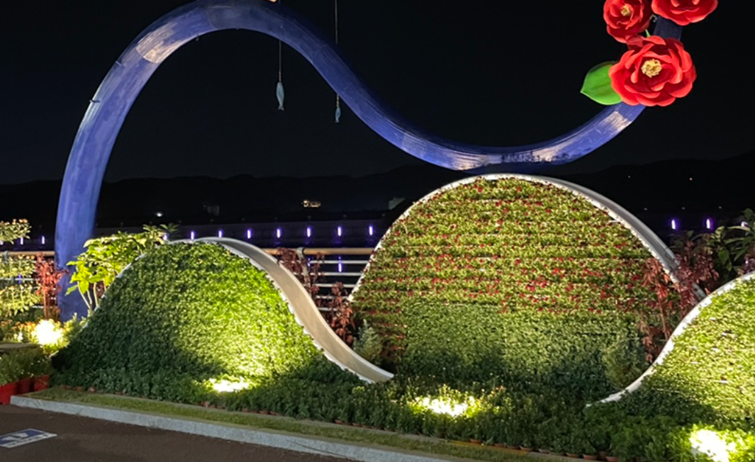 2024년 창원 국화축제