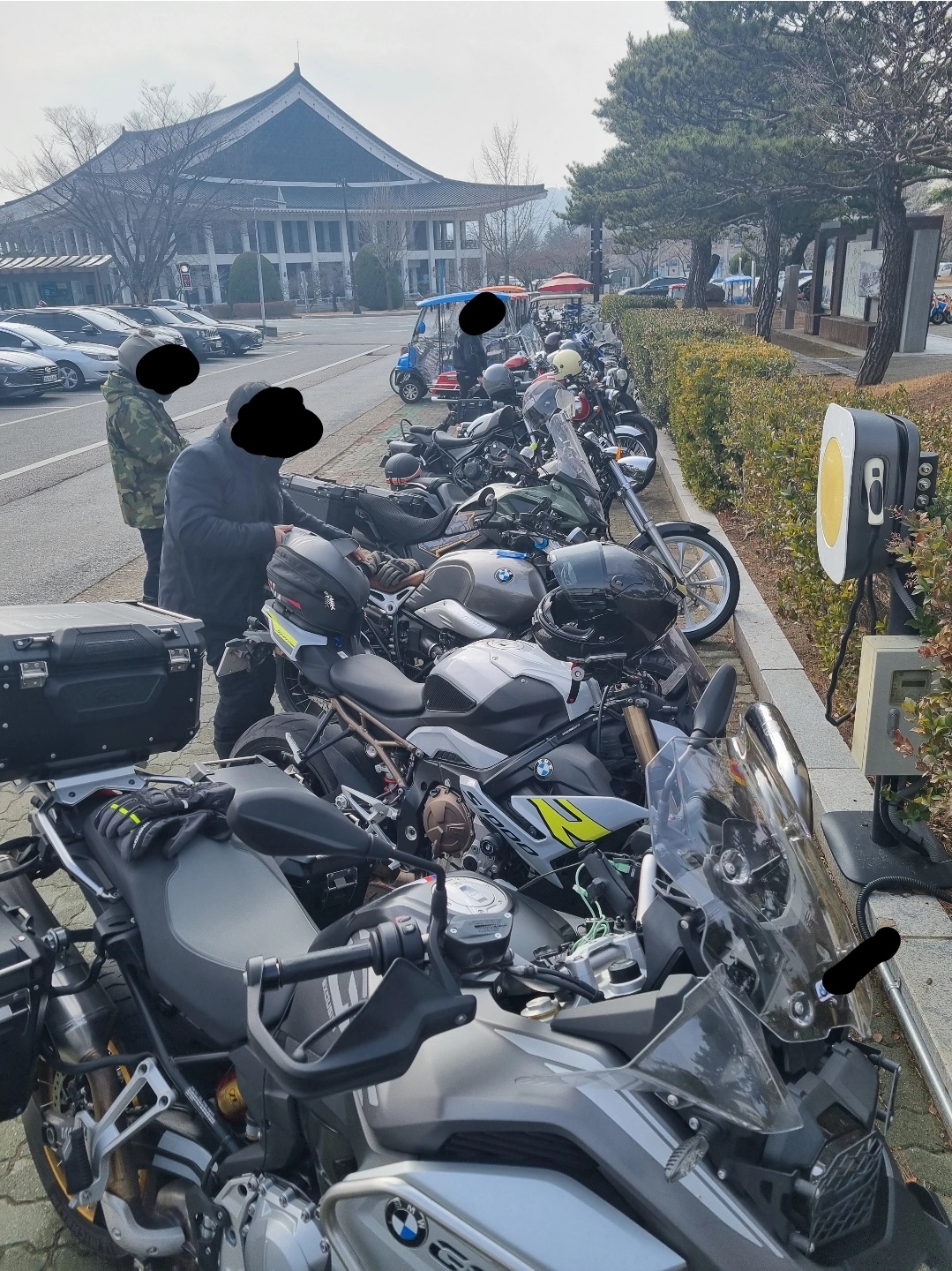 감나무CC