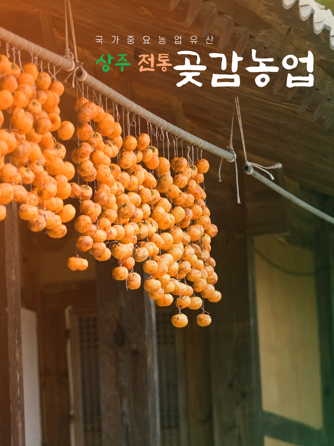 상주 곶감축제, 상주 곶감공원 - 경북 상주 가볼만한곳