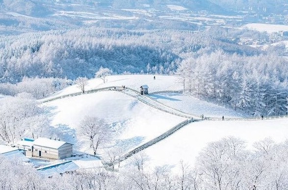 12월 여행지 추천 아이들과 가기 좋은 평창 대관령 양떼목장