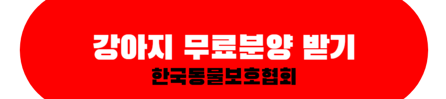 강아지뮤료분양받기