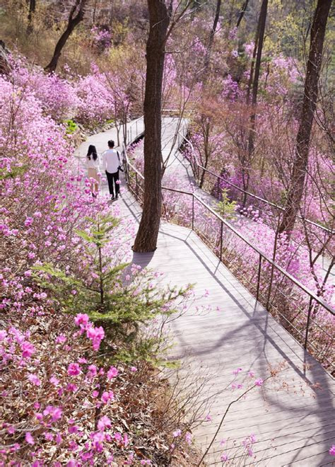 사계절 아름다운 힐링 명소, 화담숲