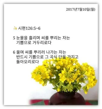 시편 126편 5 6절 씨뿌리는 자_21