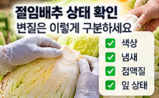 2026 절임배추 사전예약 20kg 가격 비교와 예약 시기&amp;#44; 김장 준비 방법 총정리 