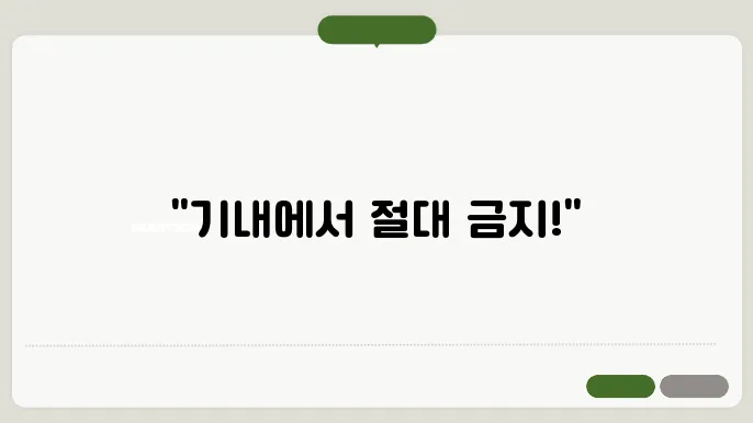 비행기 기내 반입금지 항목