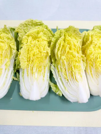 알배기 배추 물김치 담그는 법 및 보관 방법 총정리_9