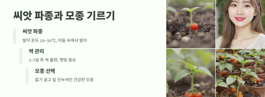 방울토마토 키우기 완벽 정리 5