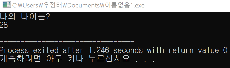 입력문 예제