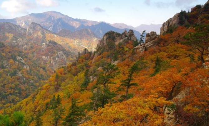 강원도 2025 단풍 산행 추천 코스 ❘ 설악산&middot;오대산&middot;치악산 절정 시기 안내