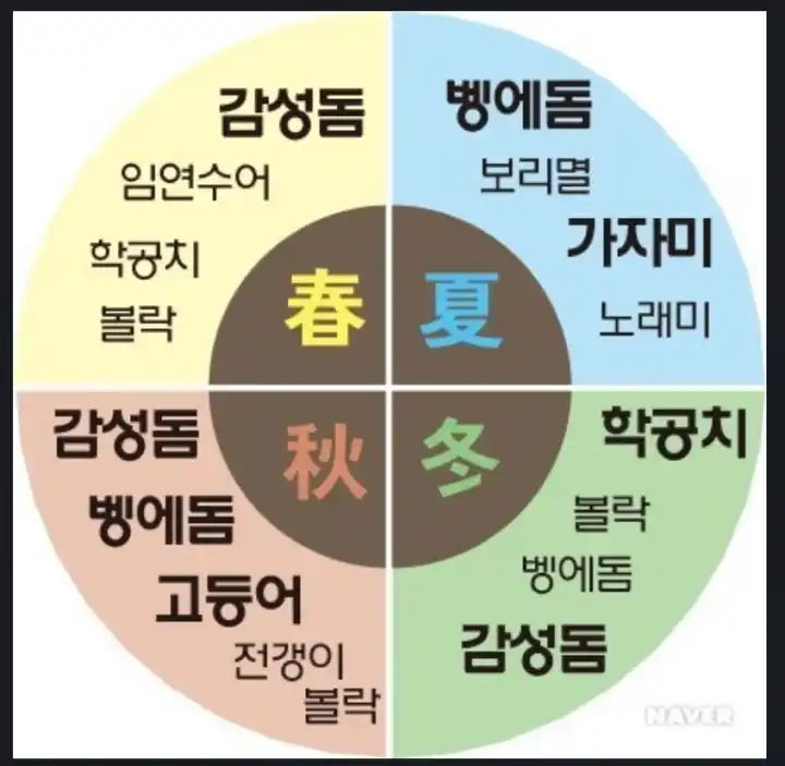 시즌별-어종-안내