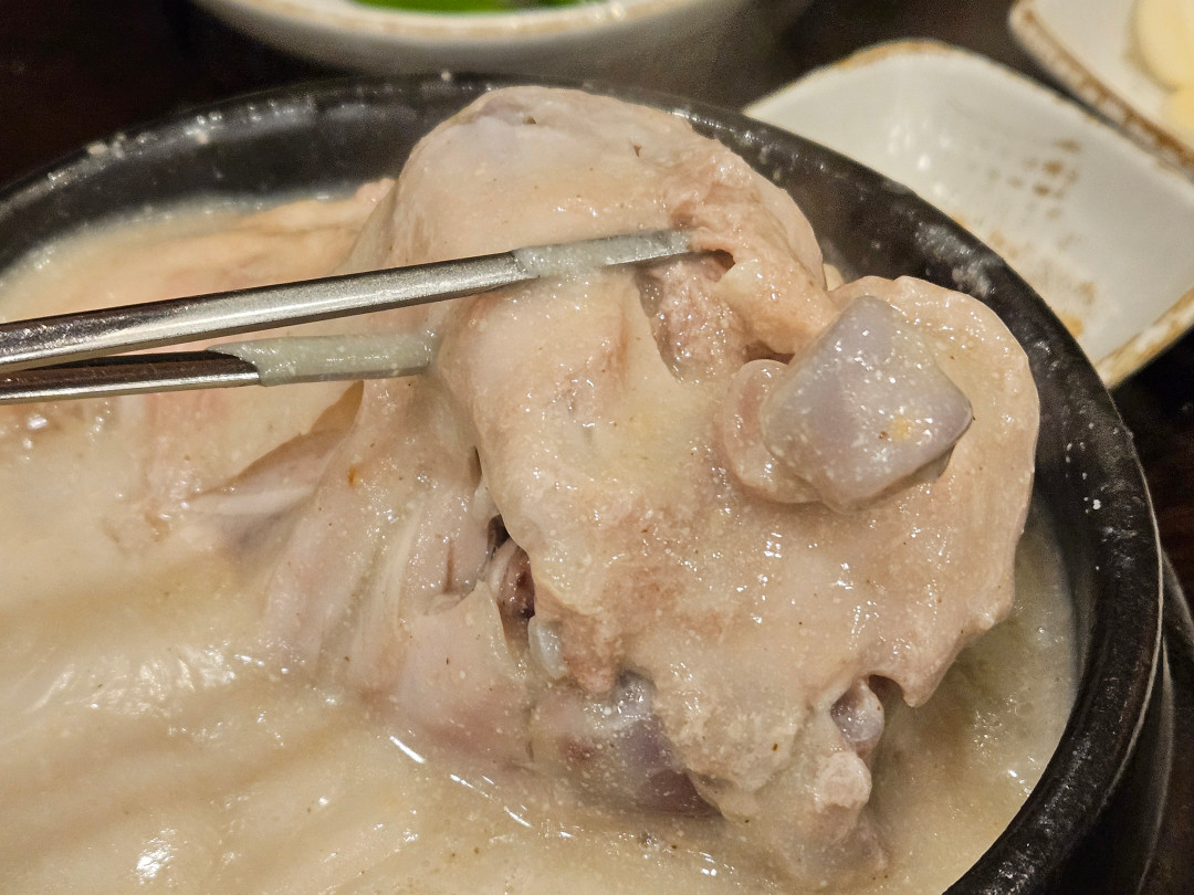 경복궁 삼계탕 닭고기