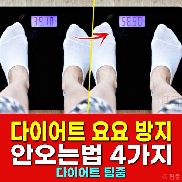 다이어트 요요 안오는법 요요원인