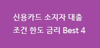 신용카드 소비자 대출