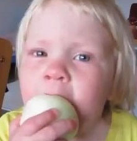 양파 먹는 꿈 양파 심는 꿈 양파 자르는 꿈